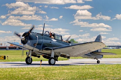 Dauntless Pilot
