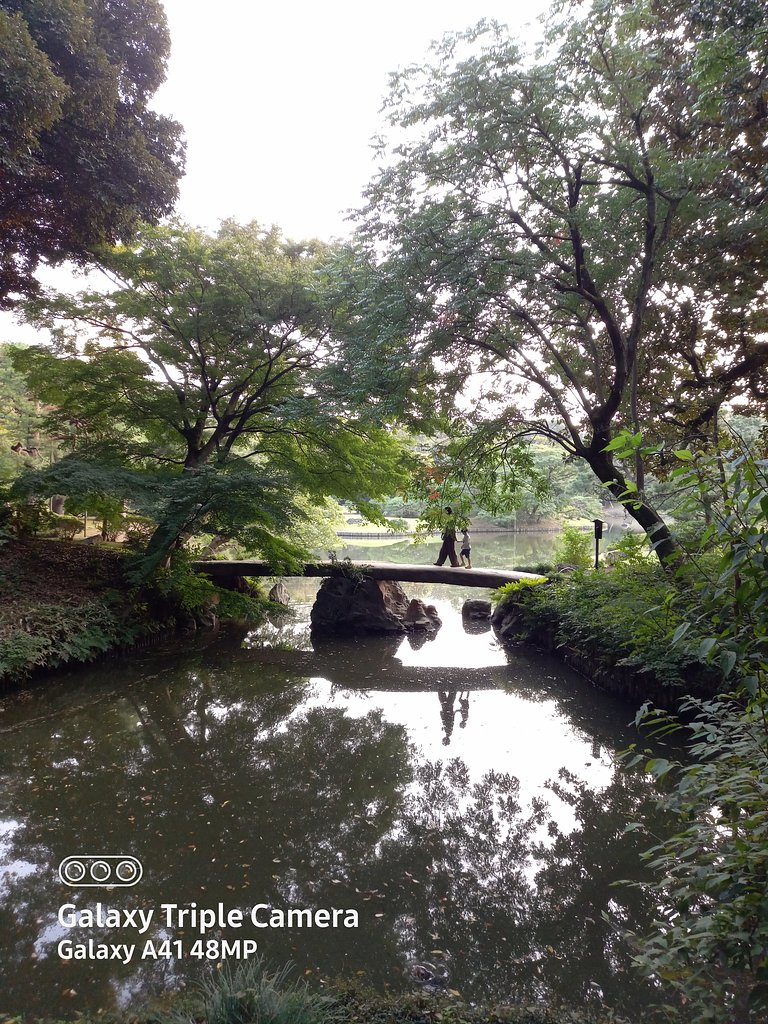 池に映る親子