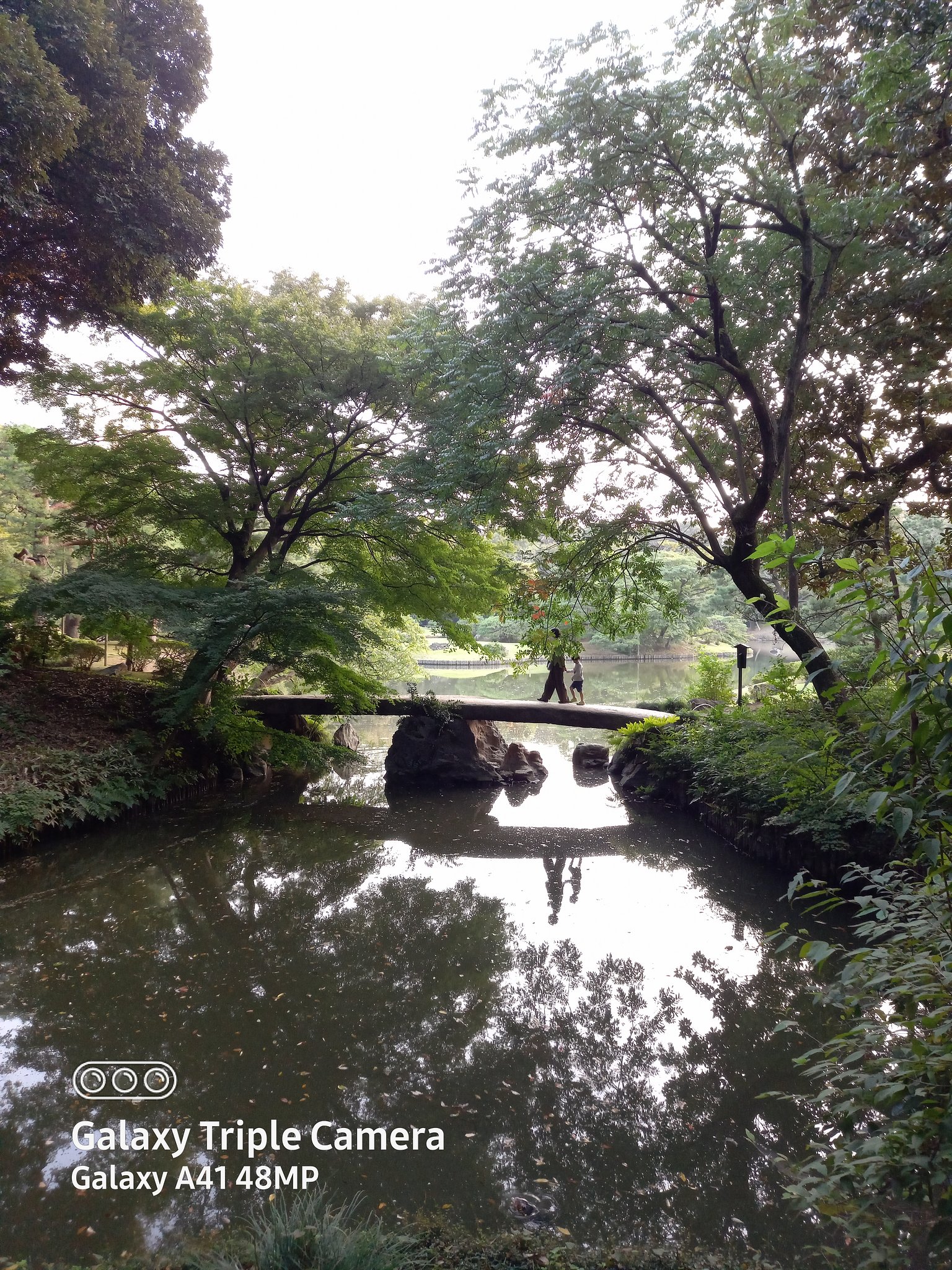 池に映る親子