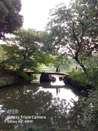 池に映る親子