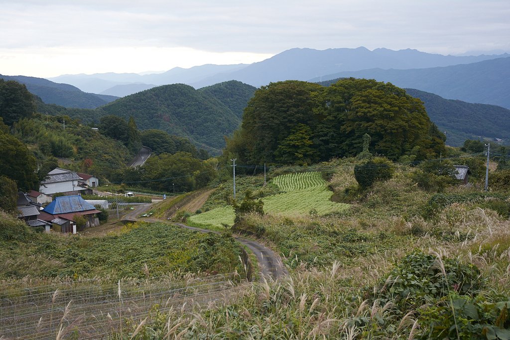 山里