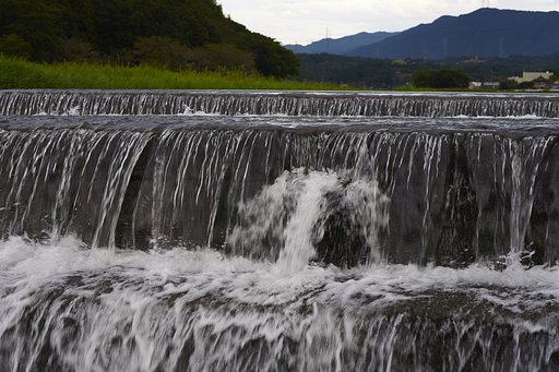 写真の病理