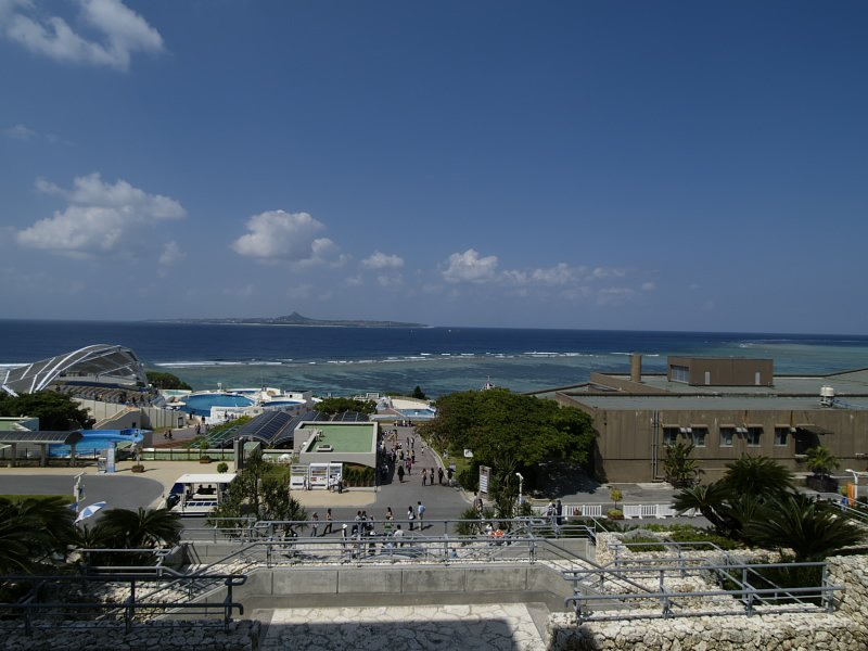 美ら海