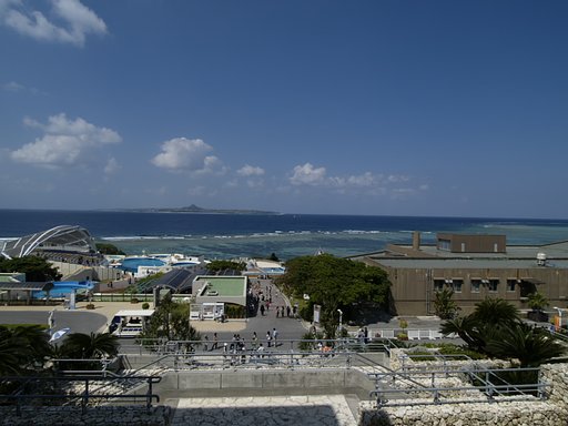 美ら海