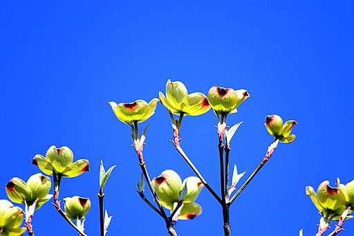 【どこでも空】ブルー