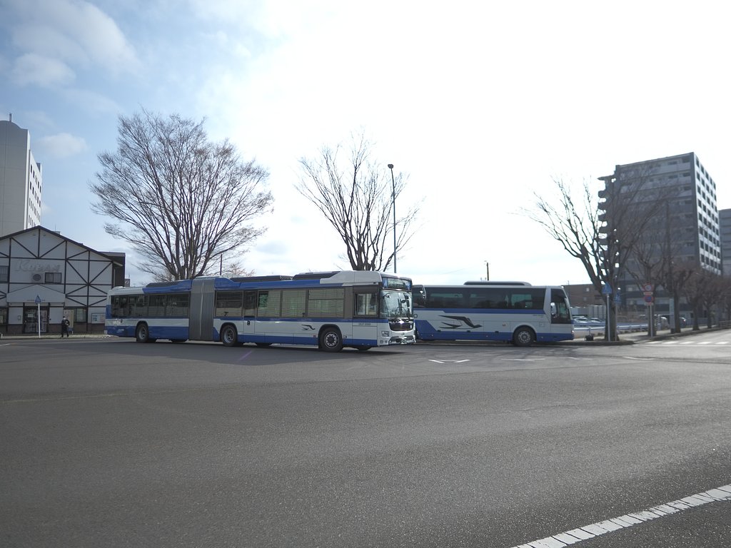 新入りの春