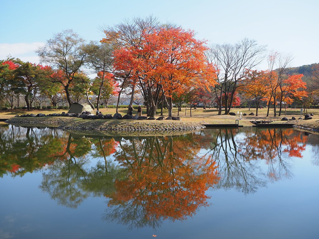 栃木の秋(鳥の目河川公園)２