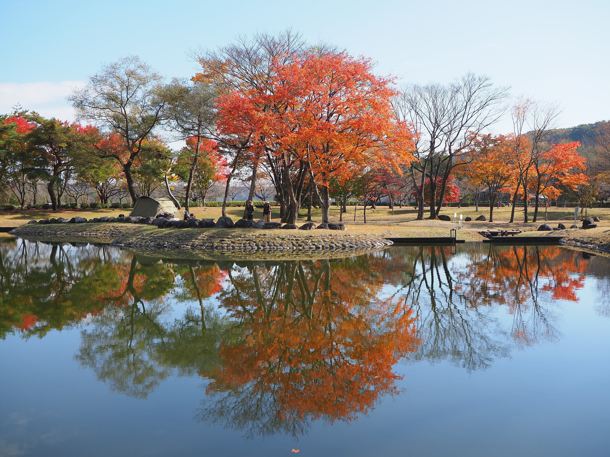 栃木の秋(鳥の目河川公園)２