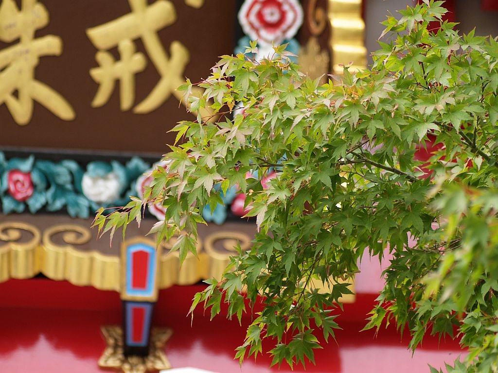 秋の気配