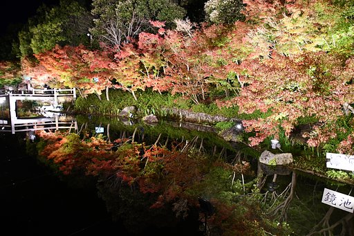 紅葉