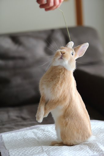 今日のノリオ♬