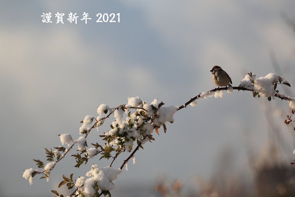 謹賀新年2021