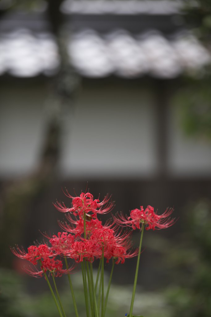 終盤か