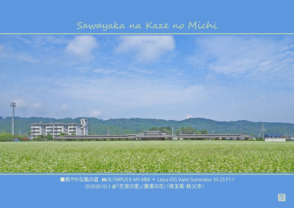 爽やかな風の道