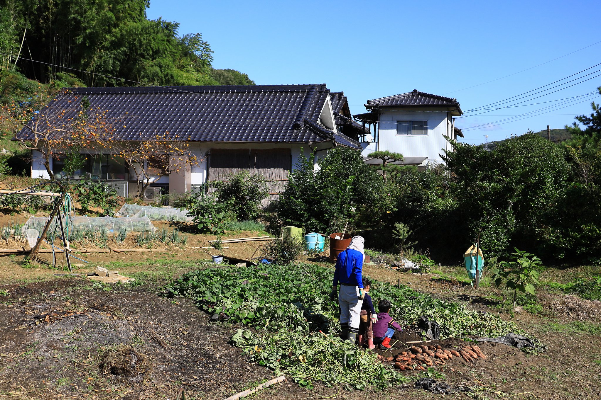 自然を学ぶ