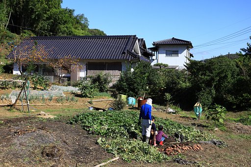 自然を学ぶ