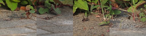 10月3日の写真