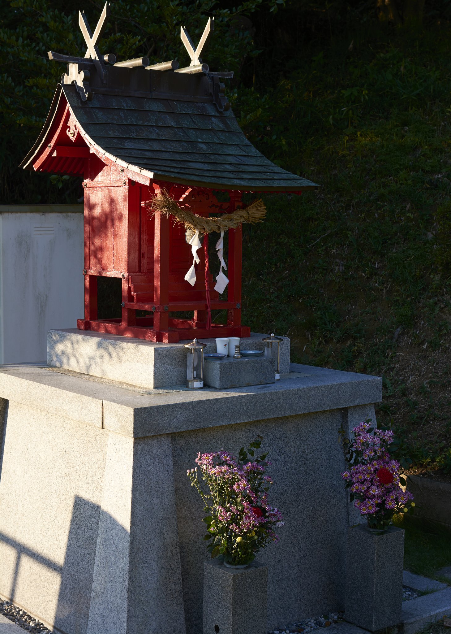 APS2400万画素