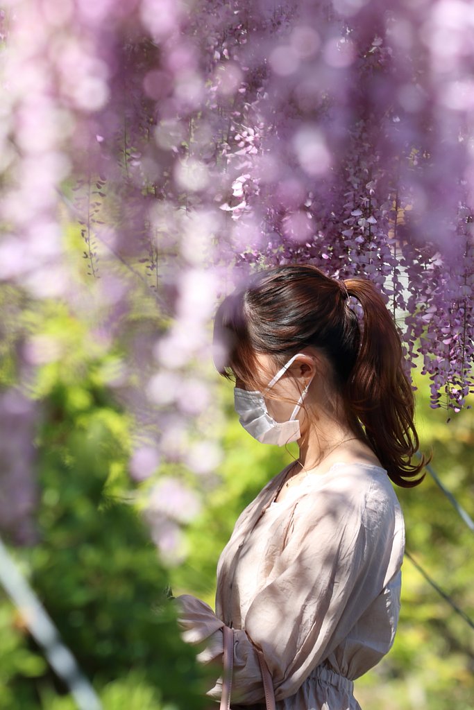 爽やか美人百景・世羅ふじ園のひと