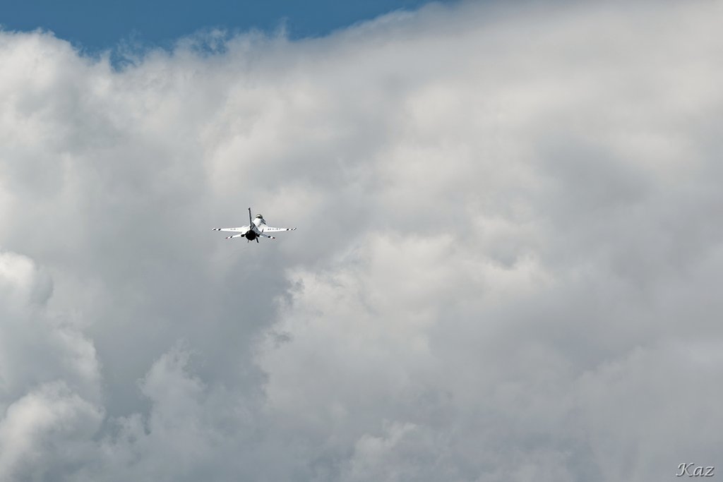 雷神鳥