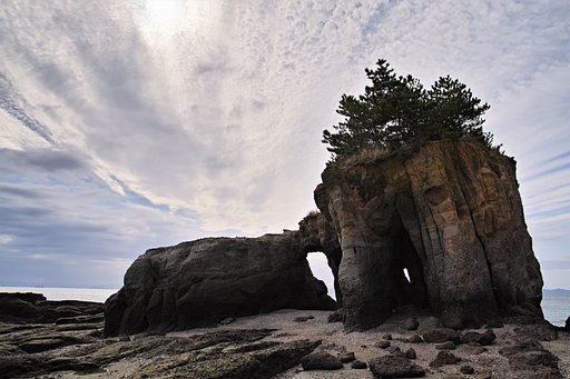 10月15日の写真