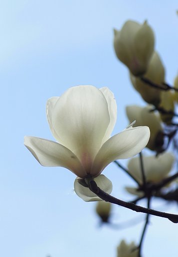 3月2日の写真