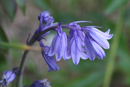 Sigma 105mmF2.8 macro