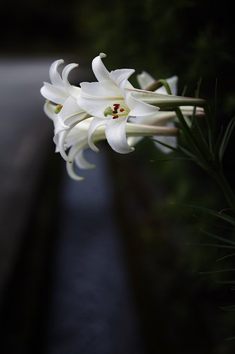 8月21日の写真