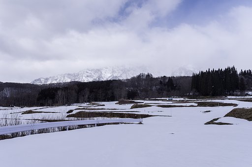 春を待つ棚田