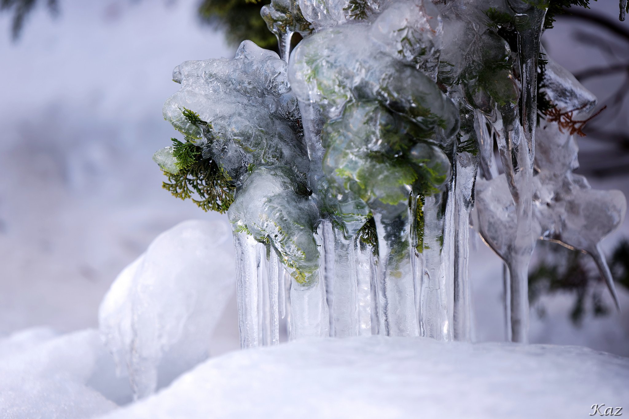 明日もまた雪だそうです（鬱）