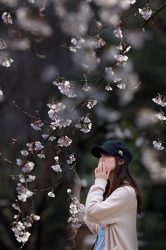 縮景園イリュージョン2019春編