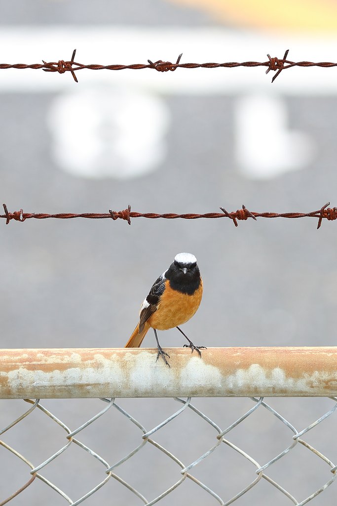 KEEP OUT!