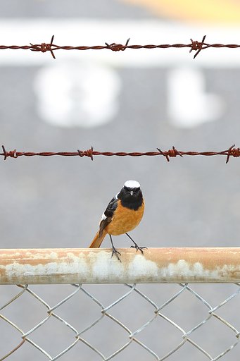 KEEP OUT!
