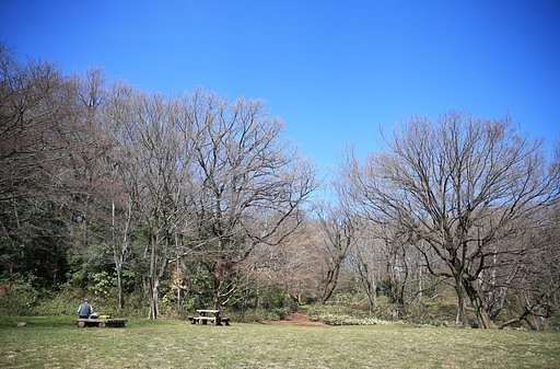 芽吹きを待つ