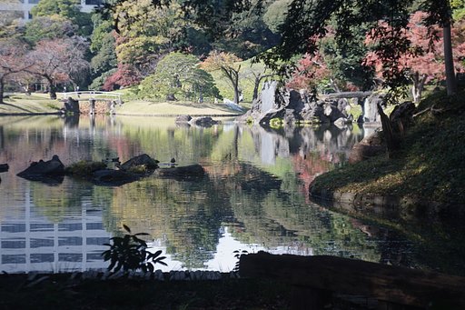 小石川後楽園もうすぐ紅葉