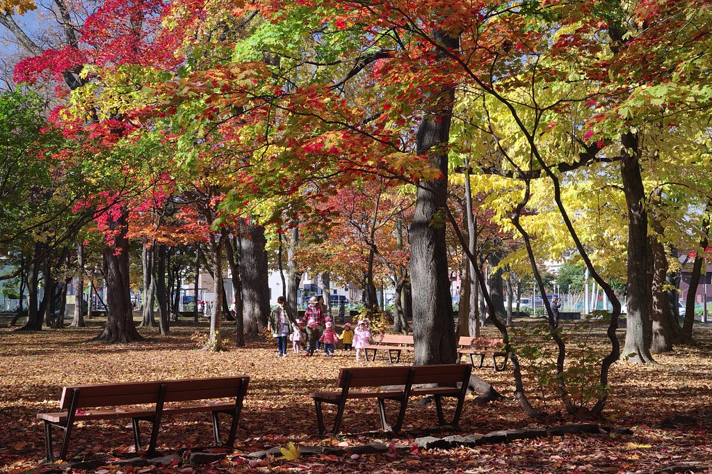 公園のおさんぽ
