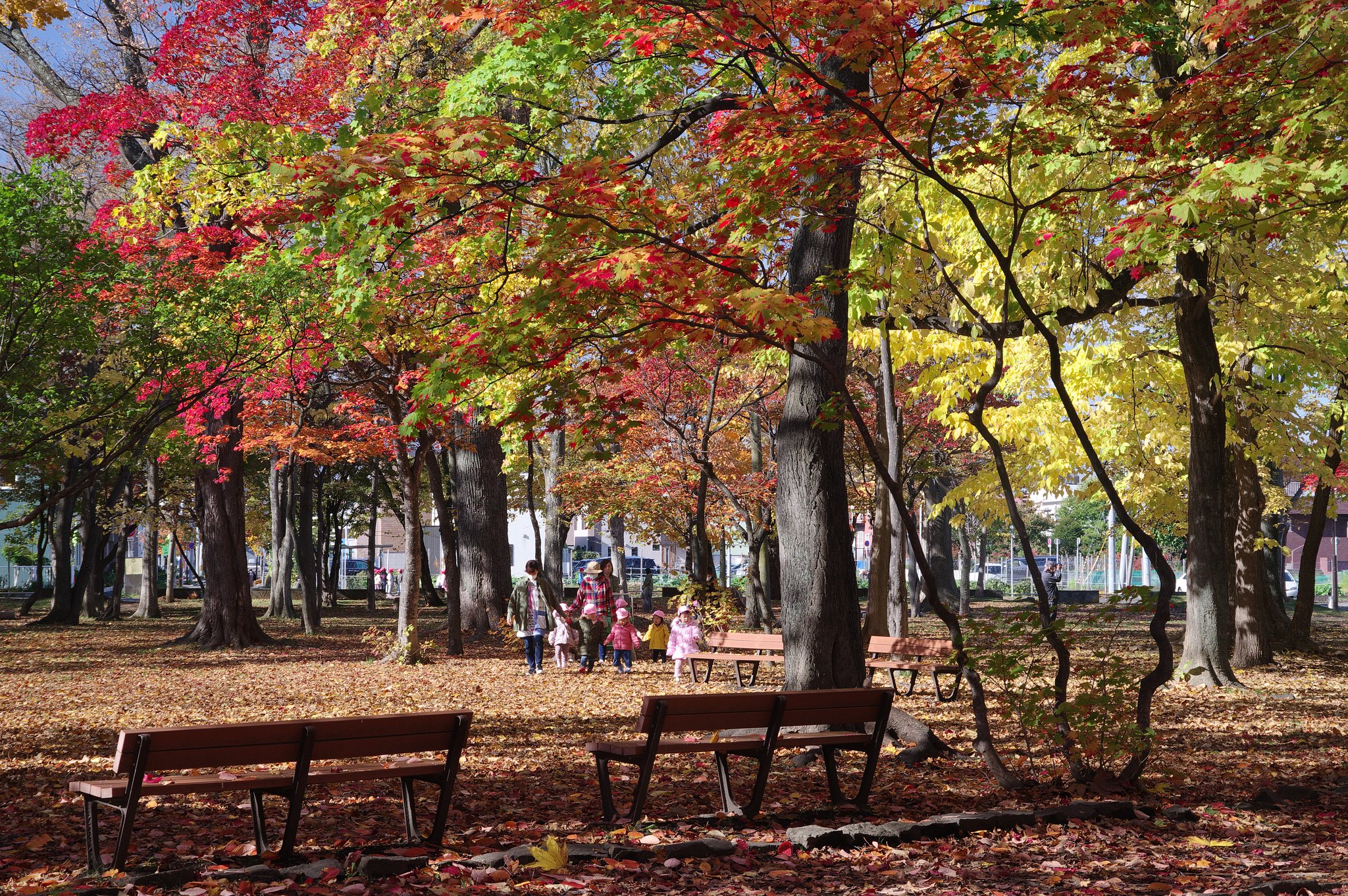 公園のおさんぽ