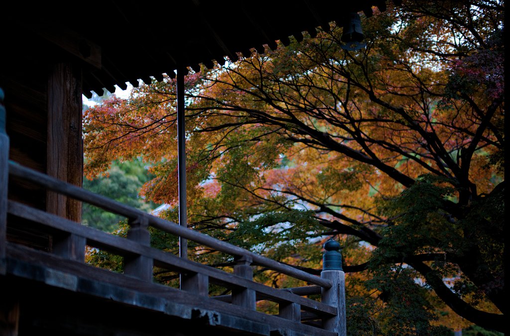 真福寺の紅葉
