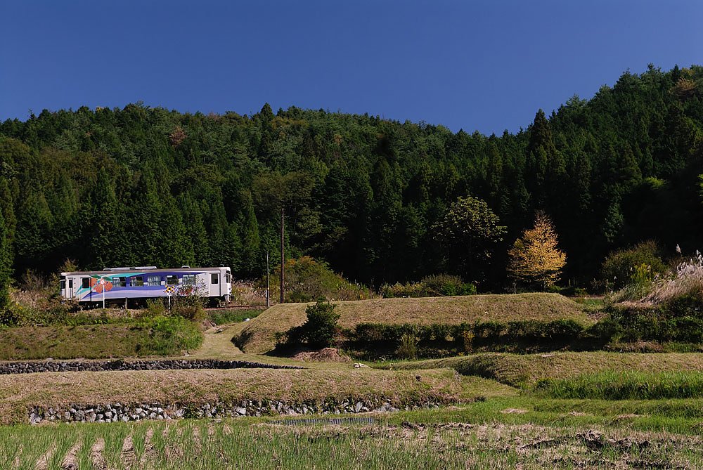 紅葉とローカル線