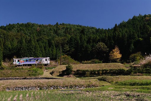 紅葉とローカル線