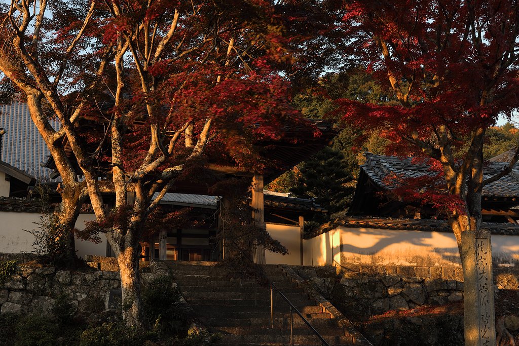 専光寺DPP