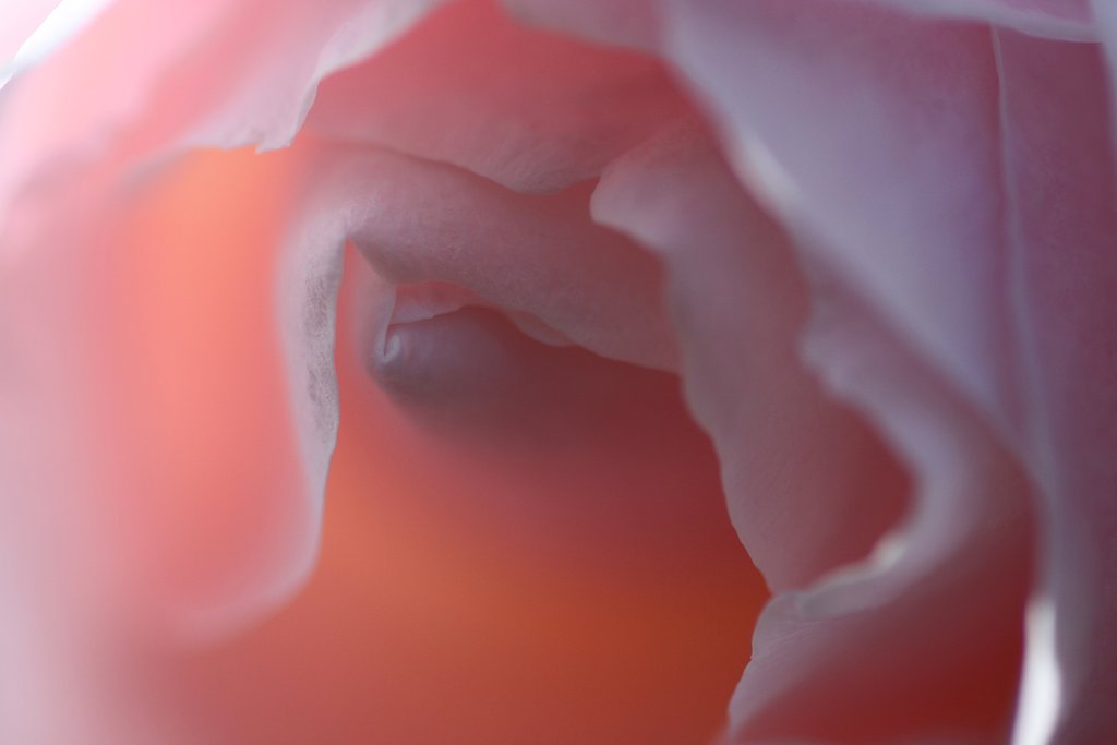 Tamron 90mm f2.8 macro 172E