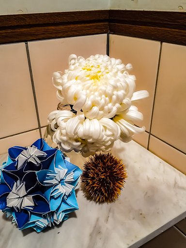大輪菊の脇芽花