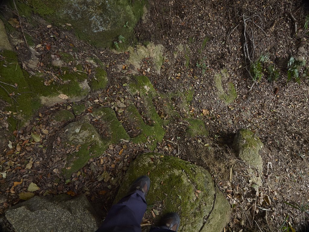 道
