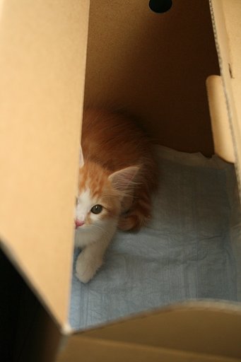 出逢い