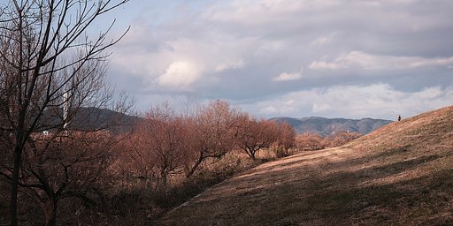 【年末に】河川敷歩くと