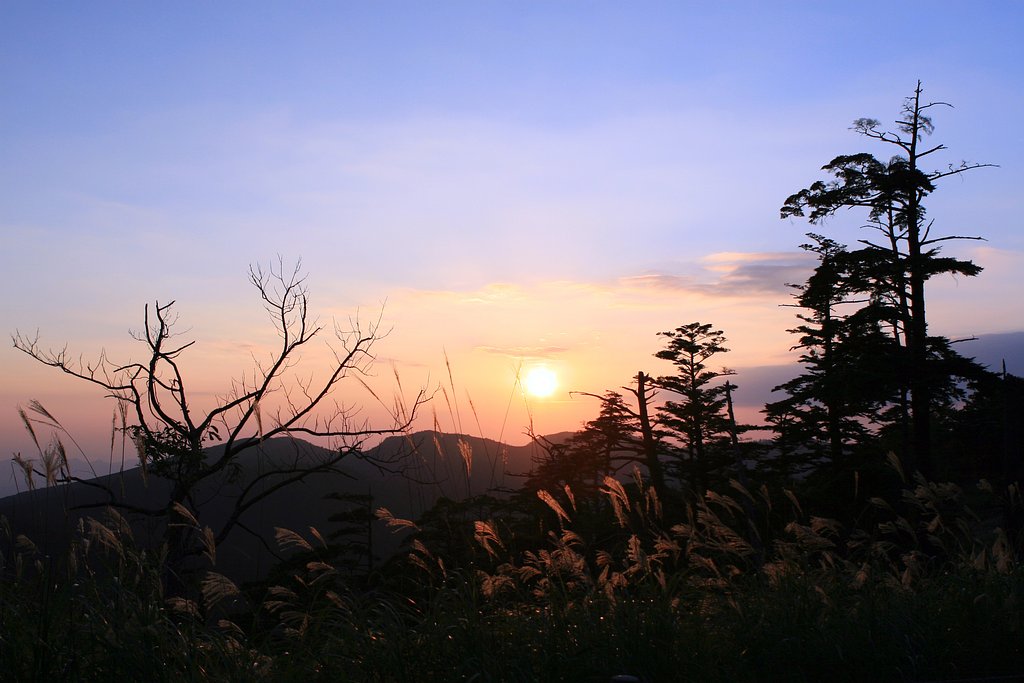 夕陽