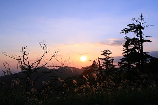 夕陽