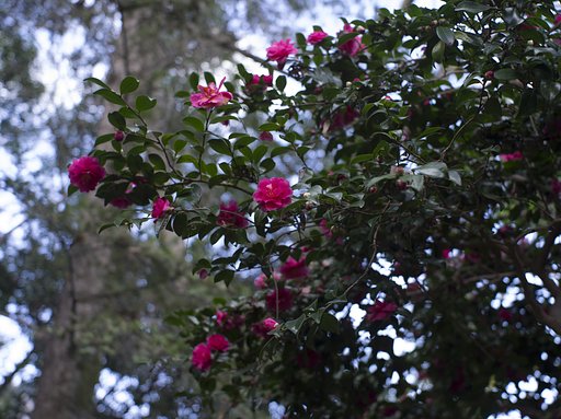 11月28日の写真
