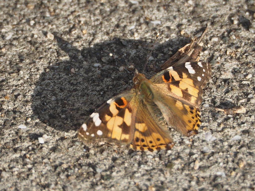 MZD75-300F4.8-6.7　Ⅱ